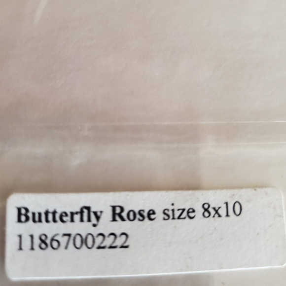 🦋 Butterfly original artwork - Picture 3 of 4